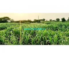 10 Acres Agriculture Land for Sale Near Pune