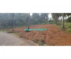 20 Gunta Coconut Farm for Sale near Mysore Palace