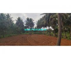 20 Gunta Coconut Farm for Sale near Mysore Palace
