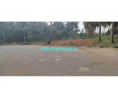 20 Gunta Coconut Farm for Sale near Mysore Palace