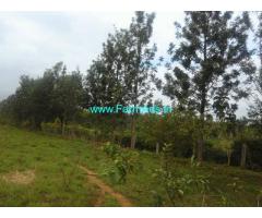 2 Acres Agriculture farm land for sale near Rajankunte