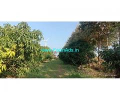 70 Acre Farm Land for Sale Near Hubli