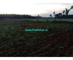 6.5 Acre Farm Land for Sale Near Makavarapalem,Narasipatnam Road
