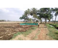 1.32 Acre Agriculture Land for Sale Near Rayavaram