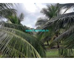 10 Acre Farm Land for Sale Near Negamam