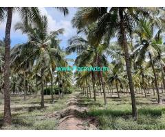 10 Acre Farm Land for Sale Near Palladam