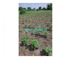 3 Acres agriculture land for sale near Mehtafkhanguda Shankarapally