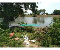 5 Acres Coconut Farm  Property in Thanjavur pattukottai bypass