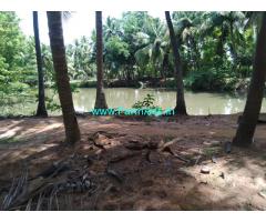 5 Acres Coconut Farm  Property in Thanjavur pattukottai bypass