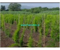 1 Acre Agriculture Land for Sale Near Mahad