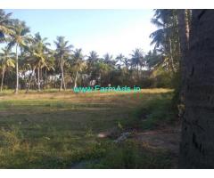 50 Cents Farm Land for Sale Near Walajabad