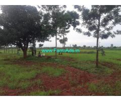 4 Acres Agriculture Land for sale at Ambalagere