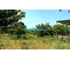24 Acres Cultivated Farm For Sale at Singarapetta, Chengam Taluk