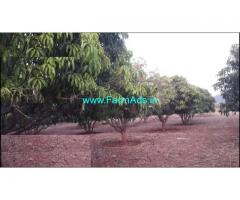 24 Acres Cultivated Farm For Sale at Singarapetta, Chengam Taluk