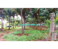 12 Acres Coconut farm for sale in Theni, Kumbum - Kumuli road.
