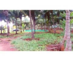 12 Acres Coconut farm for sale in Theni, Kumbum - Kumuli road.