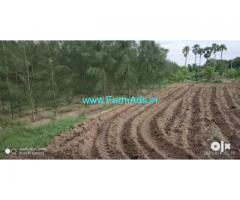 10 Acres farm land for sale at Attur Taluk, Salem District