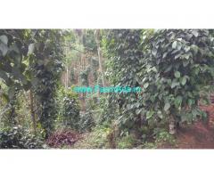 1.80 acres farm land estate for sale at Attapady. Pepper arecanut Estate