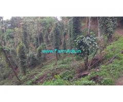 1.80 acres farm land estate for sale at Attapady. Pepper arecanut Estate