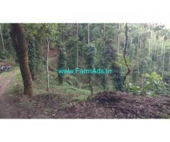 1.80 acres farm land estate for sale at Attapady. Pepper arecanut Estate