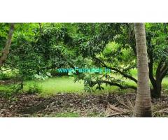 75 Acres Mango Farm Land for sale at Madurantakam Chengalpattu