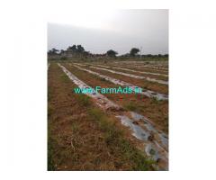 15 Acres of Farm Land for Sale at Damarakunta,Markook