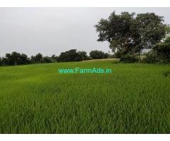 12.5 Acres Organic Fruit Farm Land for Sale at Mandemvaripalli