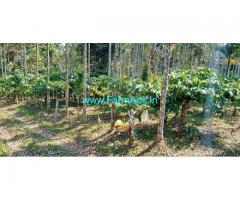 59 Cents Coffee Plantation for Sale at Meenangadi