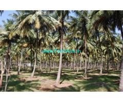 Pollachi good water source coconut farm and agricultural land  for sale