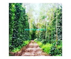8 Acre Coffee estate for sale in Chikmagalur 8 Acre Coffee estate for sale in Chikmagalur