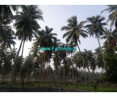 6.5 acre coconuts farm sale at sokkanur main road, Coimbatore