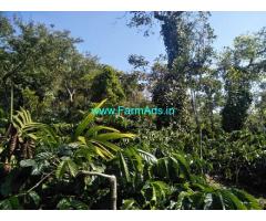 1 Acre Robusta Coffee plantation sale in Mudigere