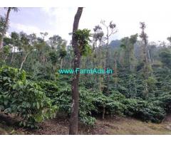 7 Acres Robusta coffee plantation for sale in Mudigere