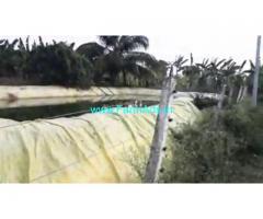 6 Acres Agricultural  Land For Sale In Near Gundlupet