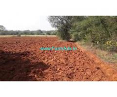2.18 Acres Agricultural  Land For Sale In Terakanabi, Gundlupet 2.18 Acres Agricultural  Land For Sale In Terakanabi, Gundlupet