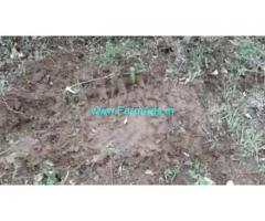 18 Acres Agricultural  Land For Sale In Gundlupet 18 Acres Agricultural  Land For Sale In Gundlupet