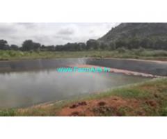 8 Acres farm land for sale in Gundlupet, 70 KMS from MYsore.