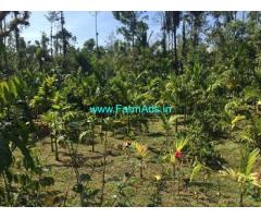 3.3 Acres Coffee Estate for Sale in Mudigere