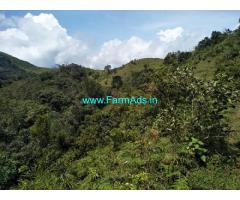 30 Acre land sale in Mudigere near Shishila hills