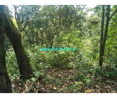 30 Acre land sale in Mudigere near Shishila hills