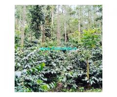 4.06 Acres Coffee estate for sale near Serai resorts