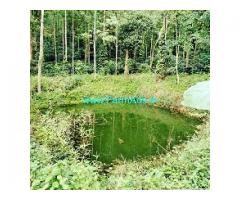 4.06 Acres Coffee estate for sale near Serai resorts