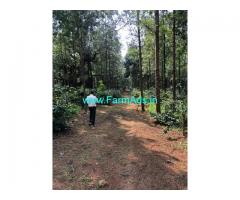 6 Acre Arabica Coffee Plantation land with Farm house for Sale Chikmagalur