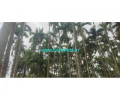 7 Acres Coconut and Areca Farm Land for Sale near Yediyur Main Road.