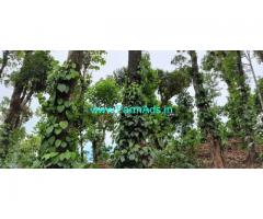 4 Acres Robusta Coffee plantation for sale in Mudigere