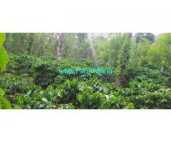 4 Acres Robusta Coffee plantation for sale in Mudigere