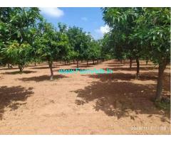10 Acres Mango Garden for Sale near Aler, Kolanpuka Road