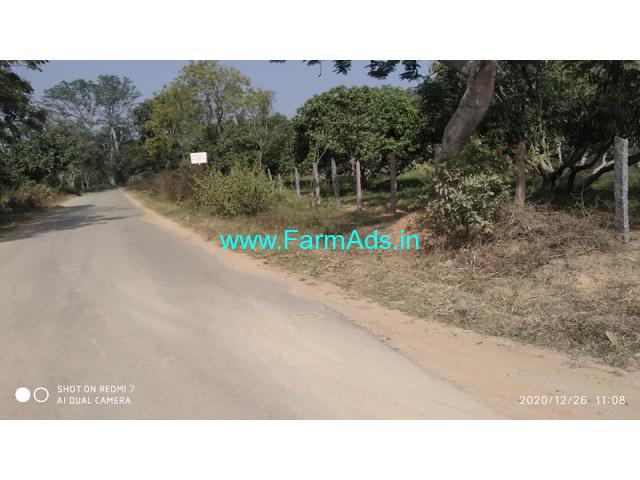 1.12 acre Mango Farm Land for Sale 11 kms from Ramanagara 1.12 acre Mango Farm Land for Sale 11 kms from Ramanagara
