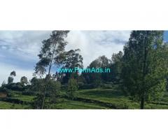 40 Cents Farm Property for sale in Kotagiri