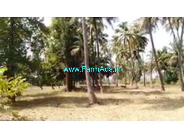 2 Acres 20 Gunta Farm Land For Sale In Channapatna 2 Acres 20 Gunta Farm Land For Sale In Channapatna